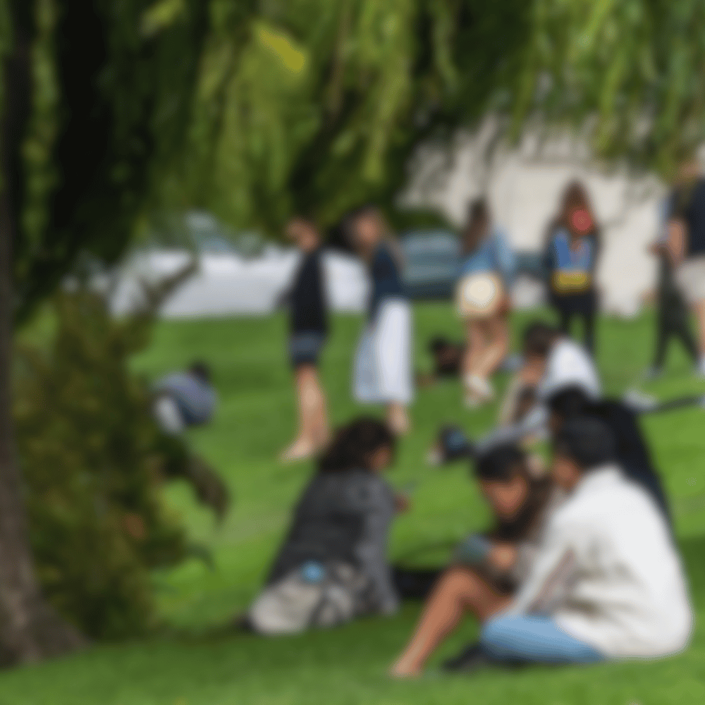 student visa decline